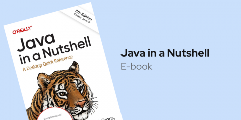 E-book: Java in a Nutshell, 8E