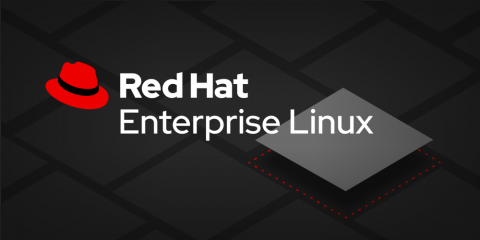 Working with Red Hat Universal Base Images