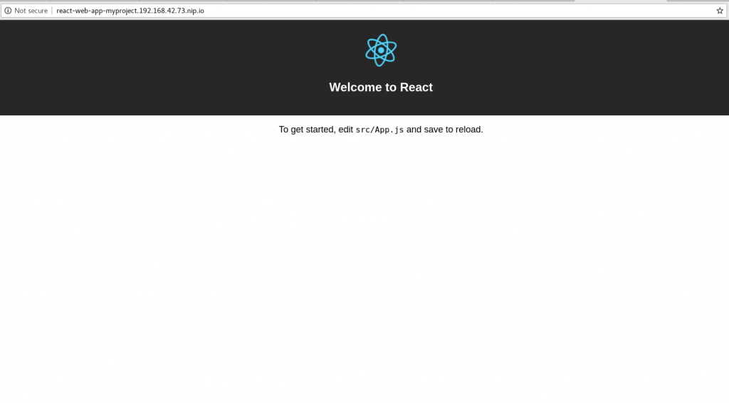 Screenshot of what the web console looks like when you run the React app