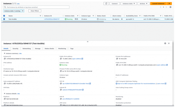 A screenshot of the EC2 instance created in AWS.